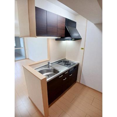 Ｓｏｌ　Ｌｅｖａｎｔｅ　国府 105【管理NO：1-017243501-01050】の物件写真3