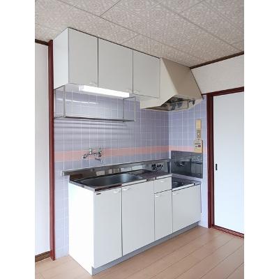 リバーサイドハイツ 303【管理NO：1-001962001-03030】 ★家具家電は申し込み後に搬入します★の物件写真3