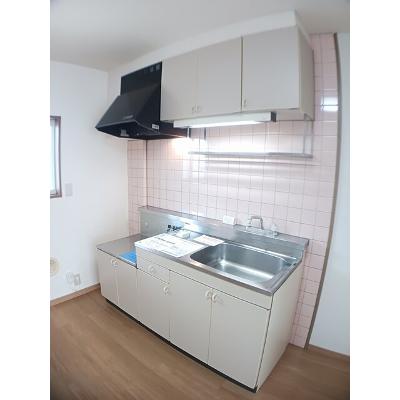 エクセレント’９５ 203【管理NO：1-005216901-02030】 ★家具家電は申し込み後に搬入しますの物件写真3
