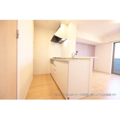 レヴリ　Ⅱ 202【管理NO：1-027822202-02020】 ★家具家電は申し込み後に搬入しますの物件写真3