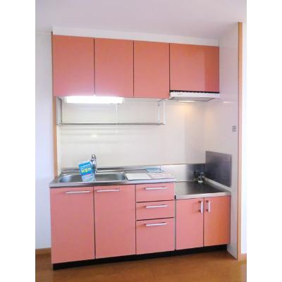 メゾングレイスＢ 202【管理NO：1-013441002-02020】の物件写真3