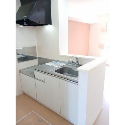 ラッフィナート 102【管理NO：1-018969401-01020】 ★家具家電は申し込み後に搬入しますの物件写真3
