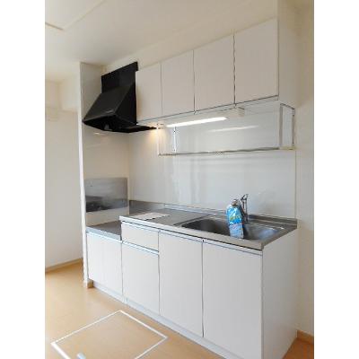 ハナミズキ　Ⅱ 101【管理NO：1-016809902-01010】 ★家具家電は申し込み後に搬入しますの物件写真3