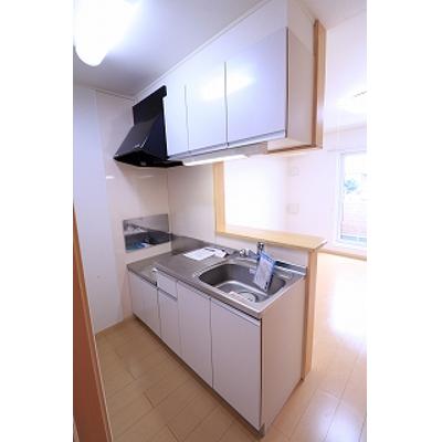 ロング　シーダー　Ｄ 202【管理NO：1-015902402-02020】 ★家具家電は申し込み後に搬入します★の物件写真3
