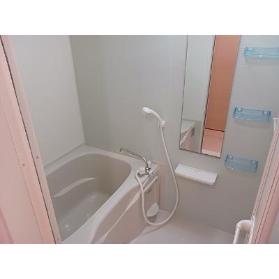 ウォーターリバー和田 202【管理NO：1-018805001-02020】 ★家具家電は申し込み後に搬入します★の物件写真4