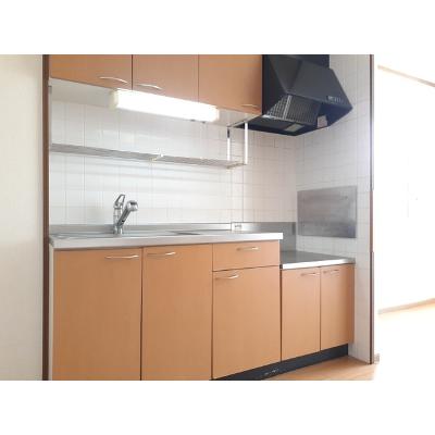 アドバンス銀河の森Ⅰ 203【管理NO：1-011495301-02030】 ★家具家電は申し込み後に搬入します★の物件写真3