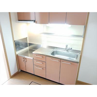 コリ－ヌ華Ⅰ 101【管理NO：1-012976701-01010】の物件写真3