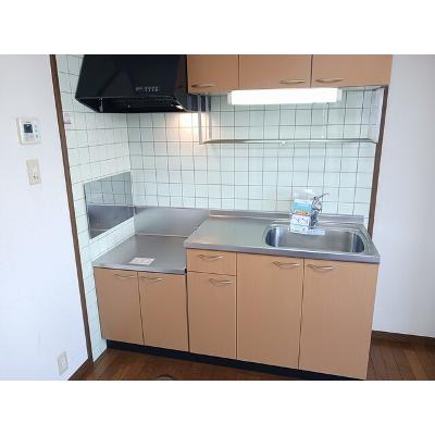 アベニ－ルロミオ 502【管理NO：1-010464701-05020】 ★家具家電は申し込み後に搬入しますの物件写真3