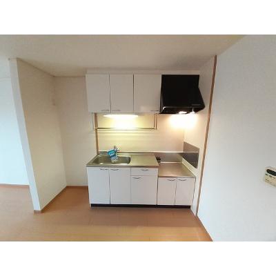 エテルノ　サピーＹＮ 204【管理NO：1-015037701-02040】 ★家具家電は申し込み後に搬入します★の物件写真3