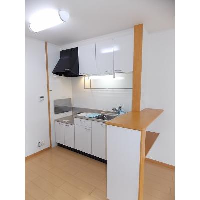 Ｙ’ｓコート壱番館　Ⅲ 203【管理NO：1-014698103-02030】 ★家具家電は申し込み後に搬入します★ ★2026年08月下旬入居可能★の物件写真3