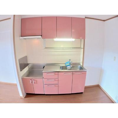 グリーンヒルズ姶良Ａ 202【管理NO：1-013049301-02020】 ★家具家電は申し込み後に搬入しますの物件写真3