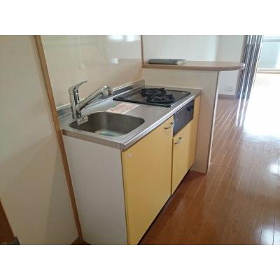エルグレーシア 505【管理NO：1-014576901-05040】 ★家具家電は申し込み後に搬入します 2026年09月中旬入居可能の物件写真3