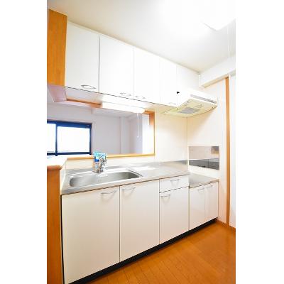エクセレンシィ 702【管理NO：1-013588801-07020】 2026年07月中旬入居可能の物件写真3