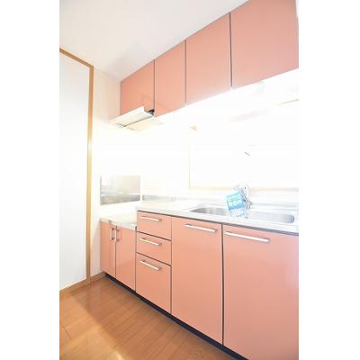メゾン・デスパシオ 202【管理NO：1-013261801-02020】 ★家具家電は申し込み後に搬入しますの物件写真3