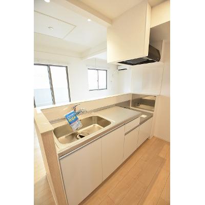 レジデンス　グランデ 201【管理NO：1-022285601-02010】 2026年07月中旬入居可能の物件写真3
