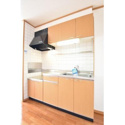 パークヒル 201【管理NO：1-012230301-02010】 ★家具家電は申し込み後に搬入しますの物件写真3