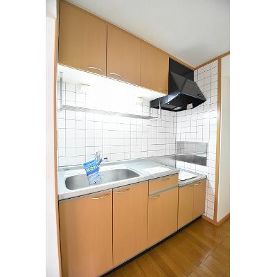 フォンテーヌ 103【管理NO：1-012049401-01030】 ★家具家電は申し込み後に搬入します★の物件写真3