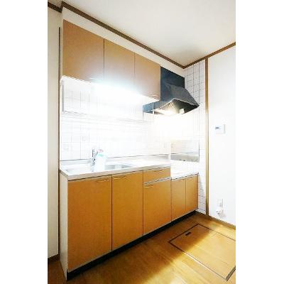 ソレアードプラーサⅤ 102【管理NO：1-010929202-01020】 ★家具家電は申し込み後に搬入します 2026年07月下旬入居可能の物件写真3