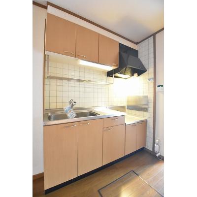 エクセラン・パレス 105【管理NO：1-010757801-01040】 ★家具家電は申し込み後に搬入します★の物件写真3