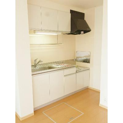 アウローラ　Ⅰ 103【管理NO：1-016037201-01030】 ★家具家電は申し込み後に搬入しますの物件写真3