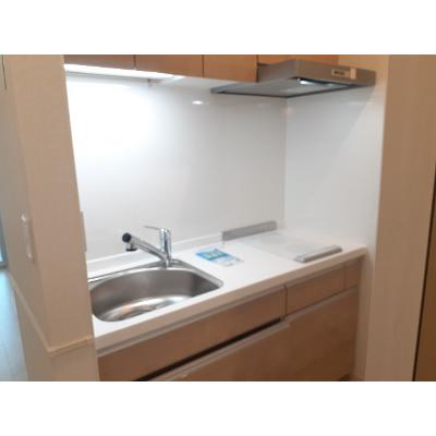 ｉｚｕｍｉ１（イズミ１） 102【管理NO：1-027263201-01020】 ★家具家電は申し込み後に搬入しますの物件写真3