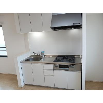 レッド・リーブスⅧ 301【管理NO：1-024066501-03010】 ★家具家電は申し込み後に搬入しますの物件写真3