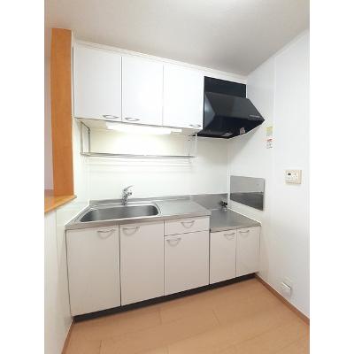グランツ　グリューン 201【管理NO：1-014725201-02010】 ★家具家電は申し込み後に搬入しますの物件写真3