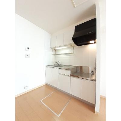 グラン・パレ　Ｌ 103【管理NO：1-016612201-01030】 ★家具家電は申し込み後に搬入しますの物件写真3