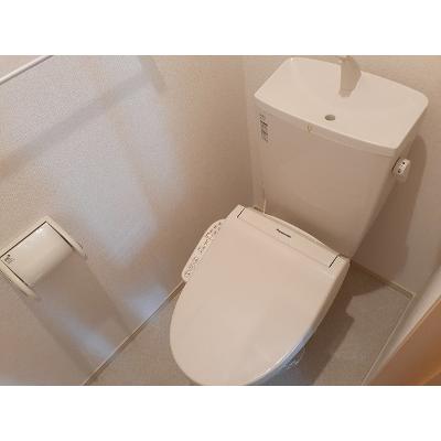マローネ・フェルト 102【管理NO：1-020993701-01020】 2026年08月中旬入居可能の物件写真5