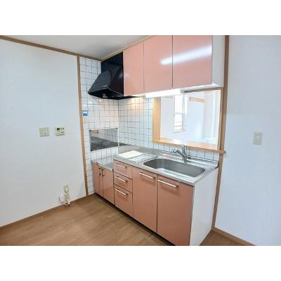 バードタイニー　弐番館 201【管理NO：1-013048001-02010】 ★家具家電は申し込み後に搬入します★の物件写真3
