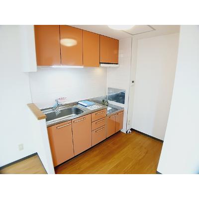 ジェルメ日乃出町 303【管理NO：1-012426901-03030】 ★家具家電は申し込み後に搬入しますの物件写真3