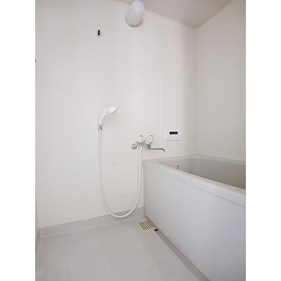 ロイヤルヒルズ 102【管理NO：1-004173001-01020】 ★家具家電は申し込み後に搬入します 2026年09月中旬入居可能の物件写真4
