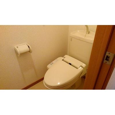 セレーノ 203【管理NO：1-014191301-02030】 ★家具家電は申し込み後に搬入します 2026年08月中旬入居可能の物件写真5