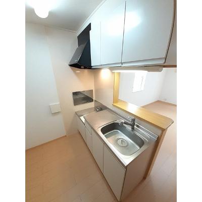 シュープリーム 101【管理NO：1-015891701-01010】 ★家具家電は申し込み後に搬入しますの物件写真3