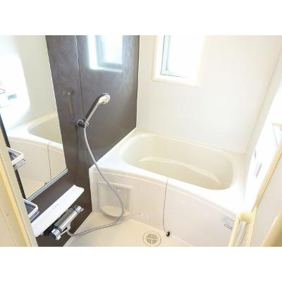 サニーセルシオ 201【管理NO：1-021202001-02010】 ★家具家電は申し込み後に搬入します 2026年07月下旬入居可能の物件写真4