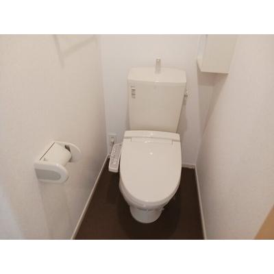 シャン・ド・フルール　Ｃ 203【管理NO：1-018860803-02030】 ★家具家電は申し込み後に搬入します★の物件写真5