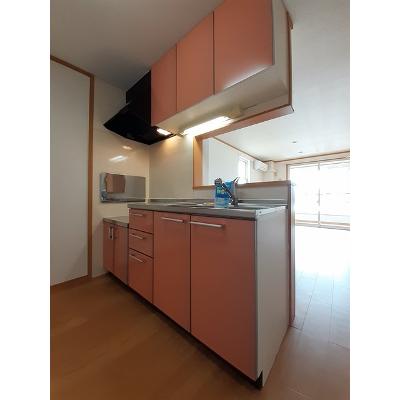 森の時計 205【管理NO：1-013114101-02040】 ★家具家電は申し込み後に搬入しますの物件写真3