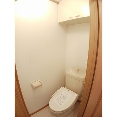 ｅｖｅｒｇｒｅｅｎ 203【管理NO：1-011942101-02030】 ★家具家電は申し込み後に搬入しますの物件写真5