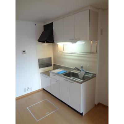アイリス 102【管理NO：1-014925001-01020】 ★家具家電は申し込み後に搬入します★の物件写真3