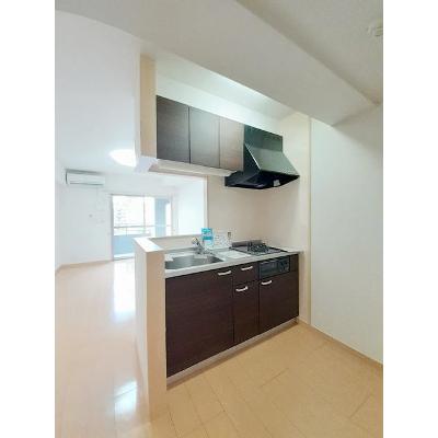 Ｓｏｌ　Ｌｅｖａｎｔｅ　国府 301【管理NO：1-017243501-03010】の物件写真3