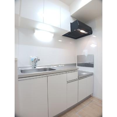 ＫＭ．２１１３ 103【管理NO：1-022387901-01030】 ★家具家電は申し込み後に搬入します★の物件写真3