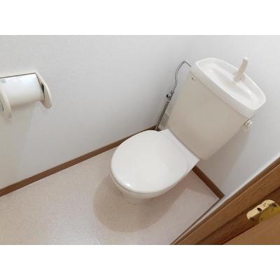 ベルフラワ－ 202【管理NO：1-007869201-02020】 ★家具家電は申し込み後に搬入します 2026年08月中旬入居可能の物件写真5