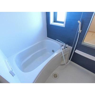 サンライトセクションＡ 203【管理NO：1-016396401-02030】 ★家具家電は申し込み後に搬入します★ ★2026年11月上旬入居可能★の物件写真4