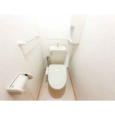 サンライトセクションＡ 203【管理NO：1-016396401-02030】 ★家具家電は申し込み後に搬入します★ ★2026年11月上旬入居可能★の物件写真5