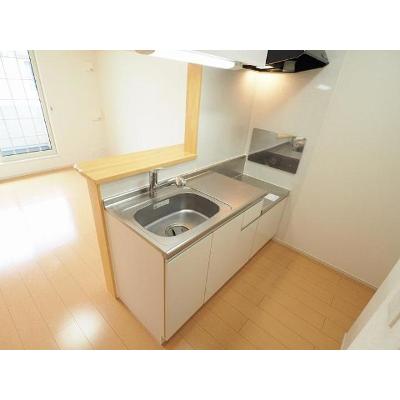 アヴェンタドール 206【管理NO：1-019173101-02050】 2026年07月中旬入居可能の物件写真3