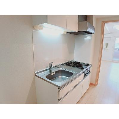 カモミール 303【管理NO：1-018112301-03030】 ★家具家電は申し込み後に搬入します★の物件写真3