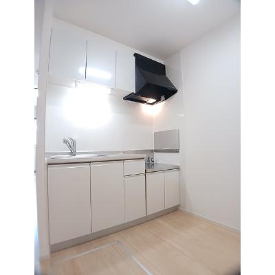 ファイン　ブリーゼ 101【管理NO：1-022055201-01010】 ★家具家電は申し込み後に搬入しますの物件写真3