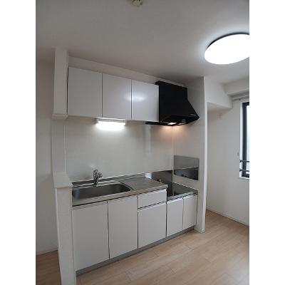 アインス 303【管理NO：1-022499801-03030】 ★家具家電は申し込み後に搬入しますの物件写真3