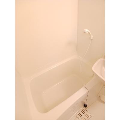 アヴィニールＡ 203【管理NO：1-009685101-02030】 ★家具家電は申し込み後に搬入します★の物件写真4