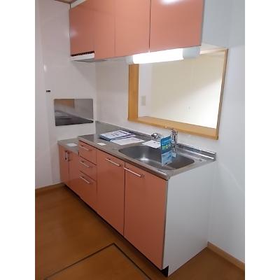 エレガンス弐番館 103【管理NO：1-013562902-01030】 ★家具家電は申し込み後に搬入します 2026年08月上旬入居可能の物件写真3